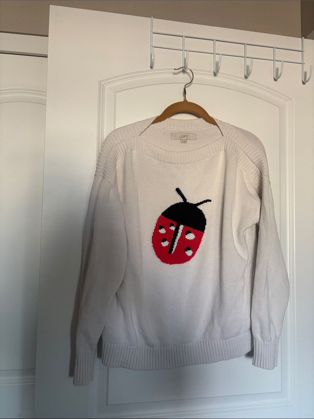 Loft ladybug sweater